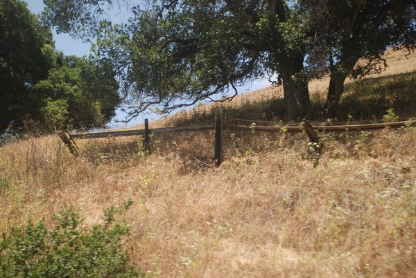 Hillside Fence