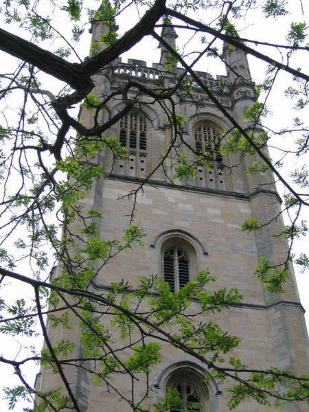 Magdalen Tower