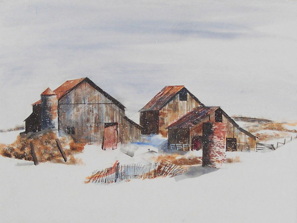 Barns at winter rest