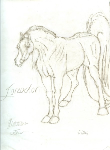 Toreador 3