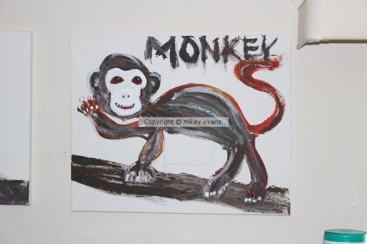monkey