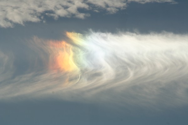 Sun Dog