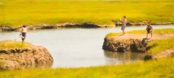 Throughing Mud on the Salt Marsh