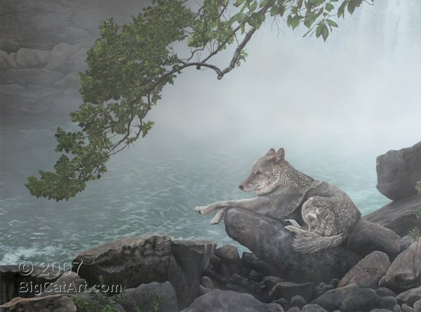 A Coyote's Paradise