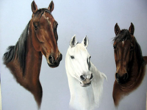 Pete, Shasta and Mini