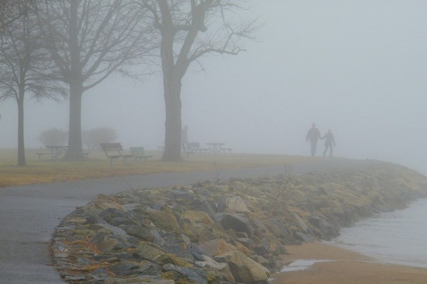 Fog on the River