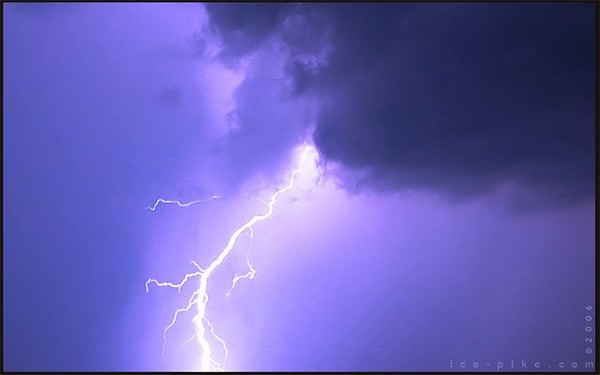 the will of the skies