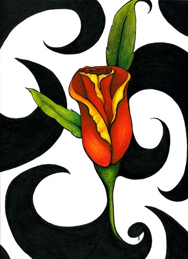 Rose
