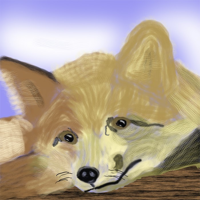 Lazy Fox  O863