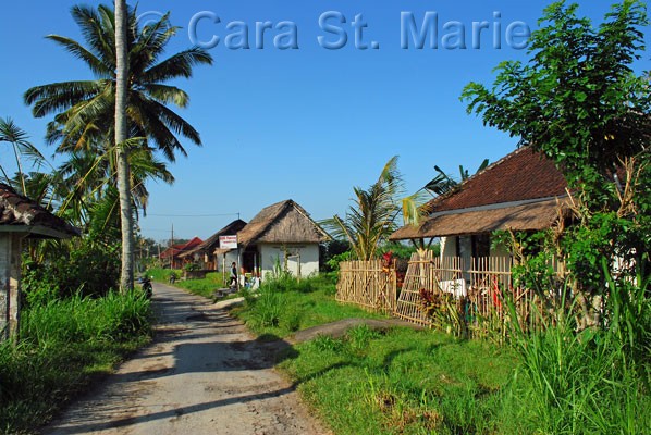 Artists Shacks Near Campuhan Ridge