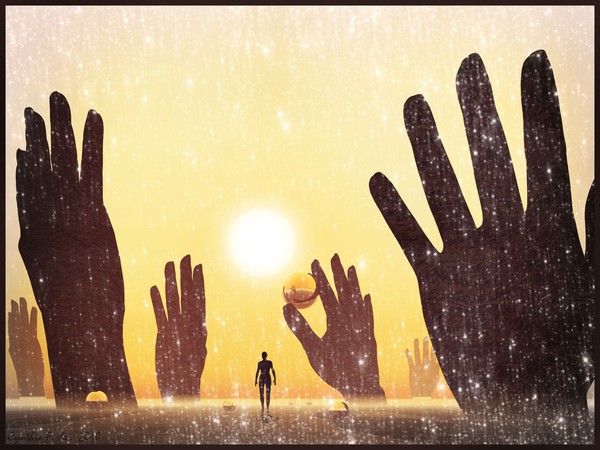 The Clapping Forest