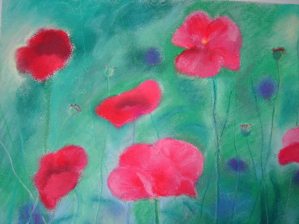 poppies
