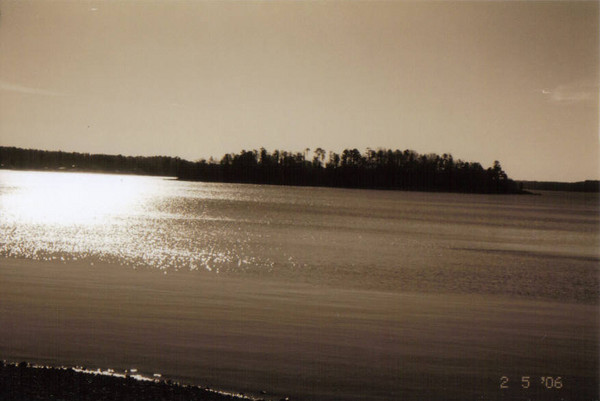 Beauty on the Lake