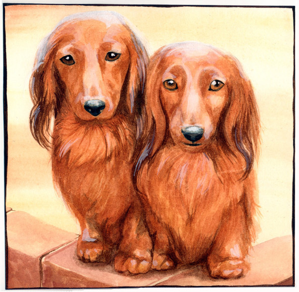 Dachies of Doom