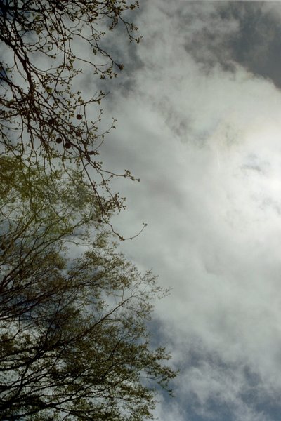 Puddle of Clouds