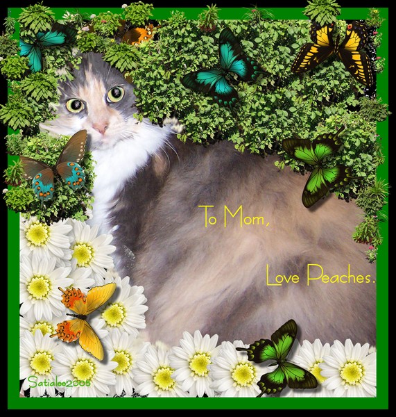 To Mom W/love, Peaches