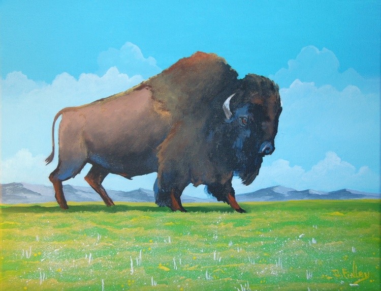Buffalo