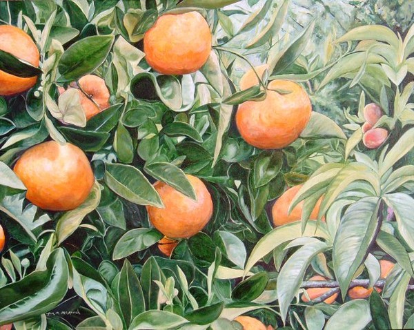 Tangelo and Peach Trees