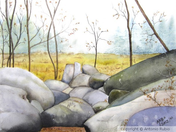 Landscape in two steps