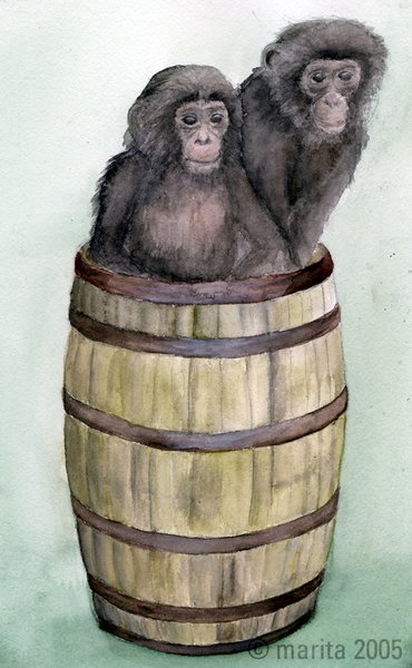 barrel of monkeys