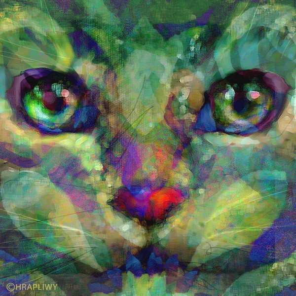 Green Cat