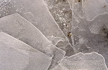 Ice design