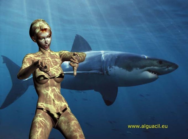 shark