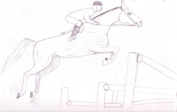 Thoroughbred Jumper
