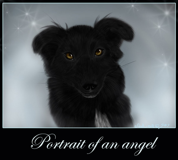 Portrait of an angel