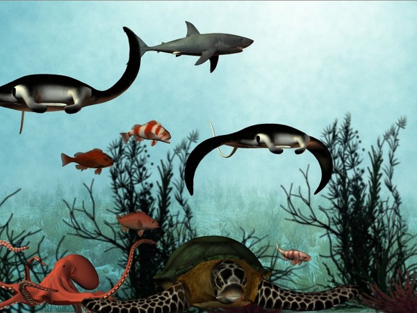 Under the Sea