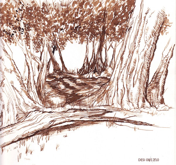 Pen & Ink 1