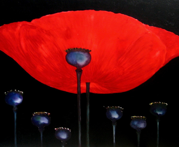 poppy and poppyheads