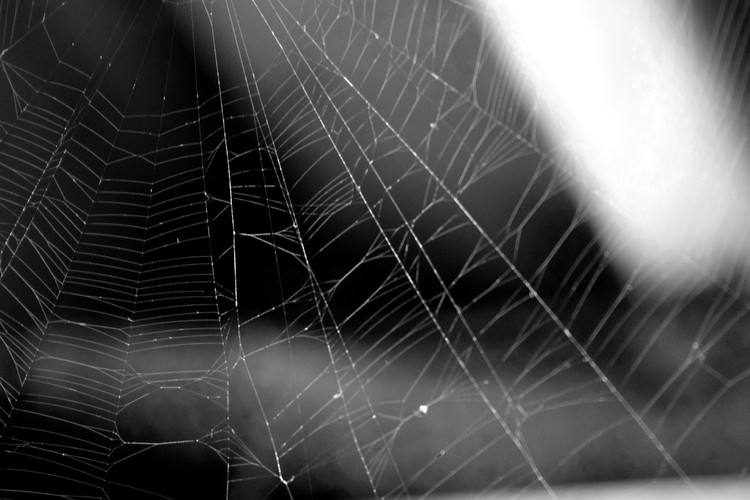 Web of Shadows 2