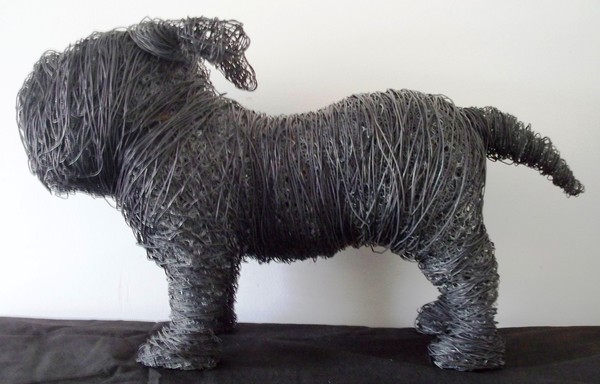 Bull dog