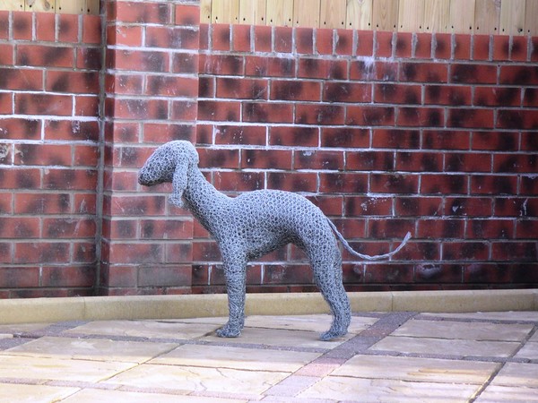 Rothbury or Bedlington terrier