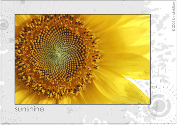 sunshine