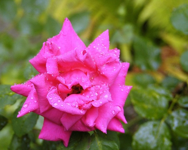 DSC_68241