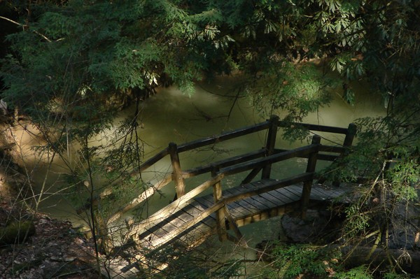 Broke Leg Falls Bridge