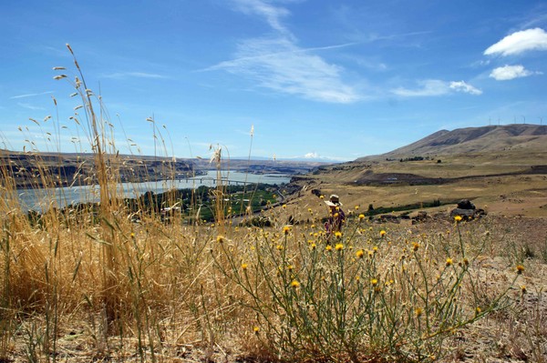 View from Stonehenge - Oregon