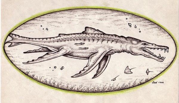 An Unknown Pliosaur