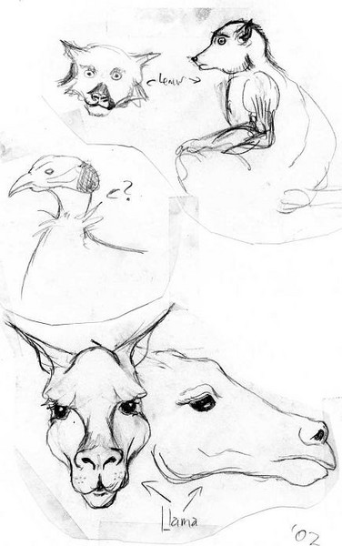 Zoo studies