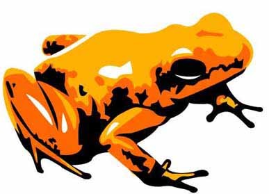 Frog Logo