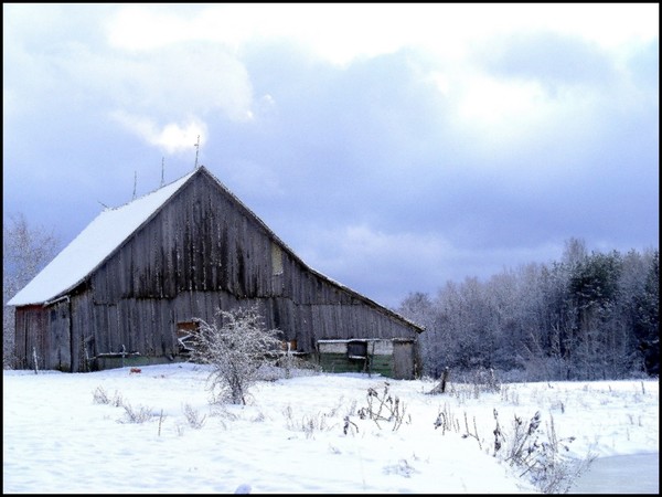 Rural Winter Blues
