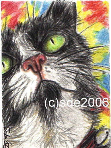 'Bright Eyes'