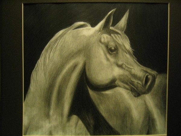 Arabian