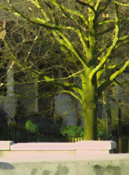Green Tree