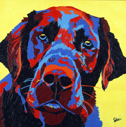 Porter