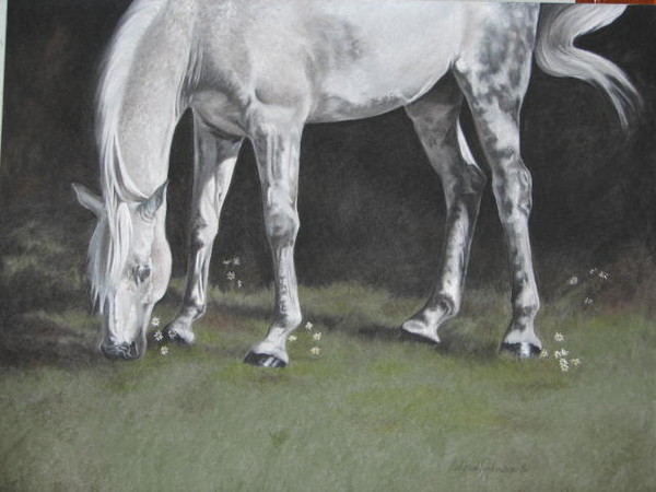 grazing gray Faranha