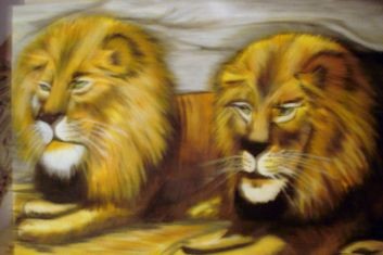 the lions den
