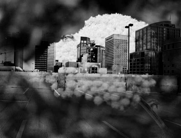 City Bloom